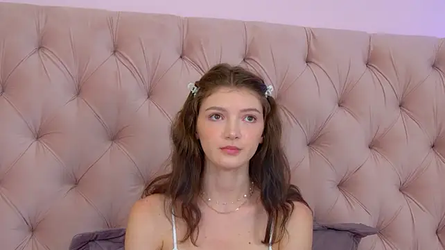 SophiaProve webcam