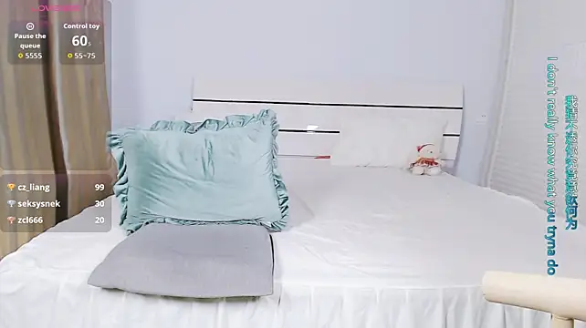 sasating webcam