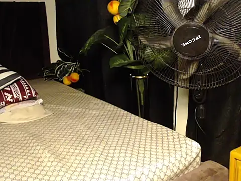 prittyprincessa webcam