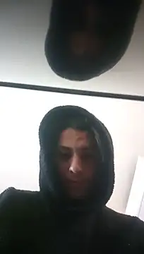 ZeldaSneakyLink webcam