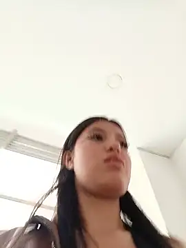 SALOME-28_ webcam