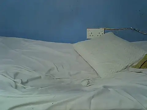 Slim_shy webcam