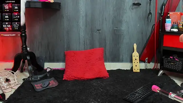 Liittledolly webcam