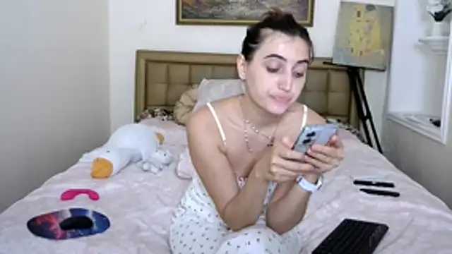 Iren webcam