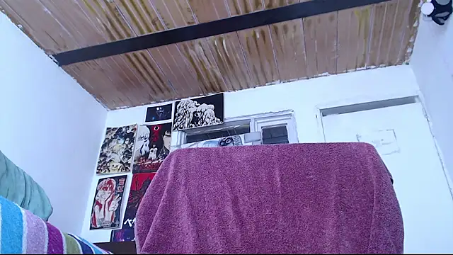 Cortana2_0 webcam