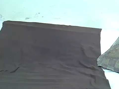 drowllie webcam