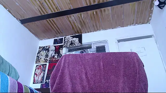 Cortana2_0 webcam