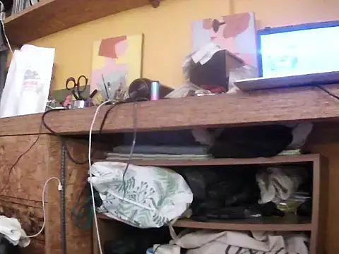Syntheo webcam