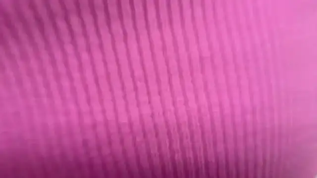 Angelinaa19 webcam
