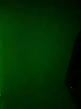 Badboy24l webcam