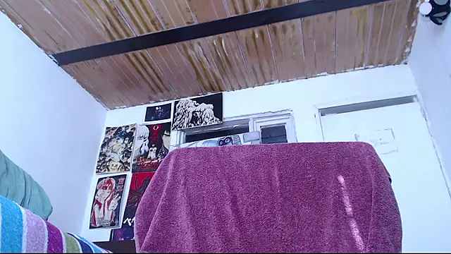 Cortana2_0 webcam