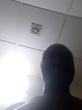 Dmakaty webcam