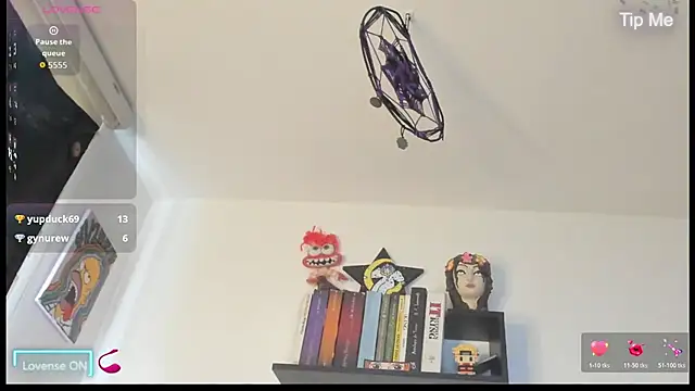 velmoon webcam