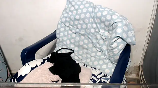 nikimillers webcam