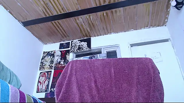 Cortana2_0 webcam