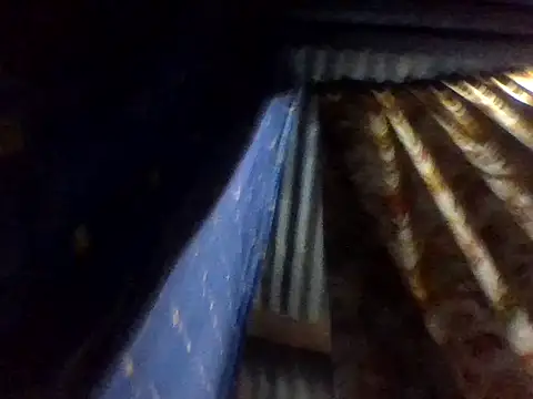 Roystone3 webcam