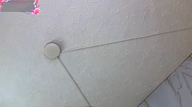 ariannaruiz webcam