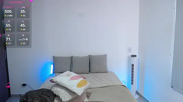 sofix__ webcam