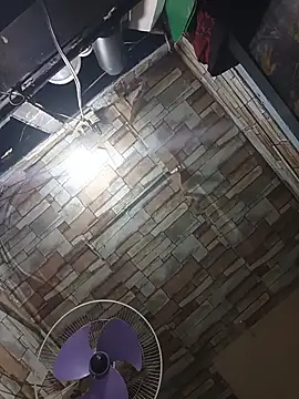 manilafoxts webcam