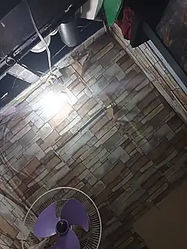 manilafoxts webcam