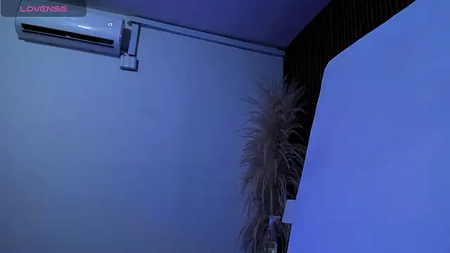 _Cherry_fox webcam