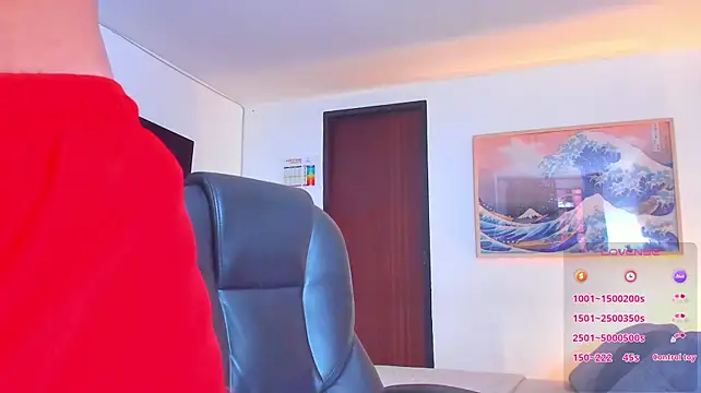 RJBarto webcam