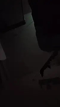 Wonderboyharder webcam