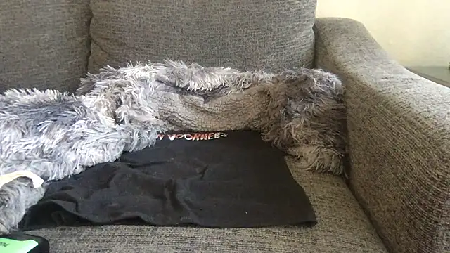 Alexnightcat webcam