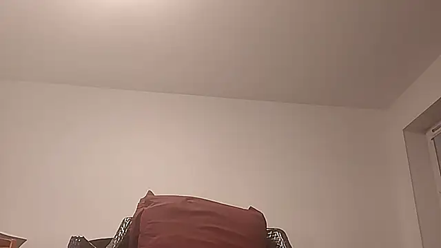 Tyyson03 webcam