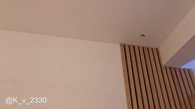 sofiesoft webcam