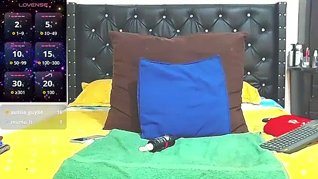 AnySugar webcam