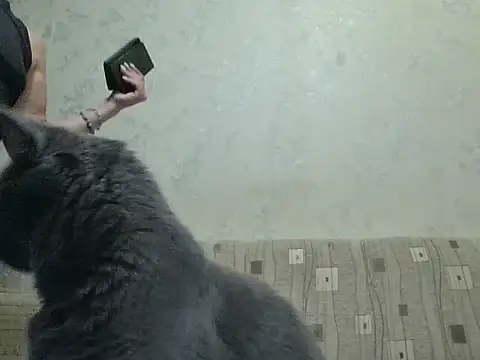JeaneDavis webcam