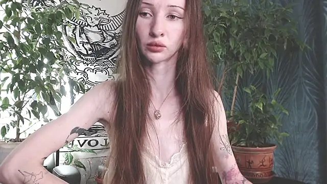 Arwen-elf webcam