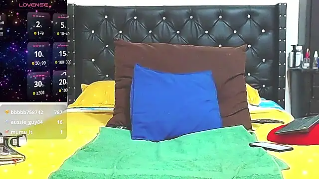 AnySugar webcam