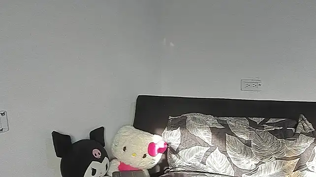 Eirlysx webcam