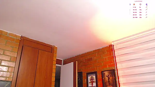 Salome-sw webcam