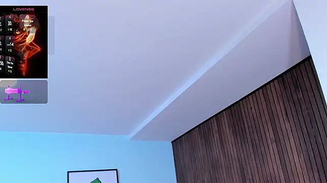 CELESTE_LUZ webcam