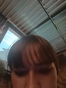 Celeste-15 webcam