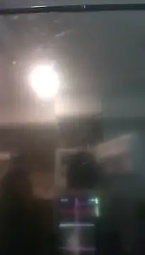 ZeldaSneakyLink webcam