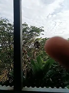 GingerMoon_ webcam