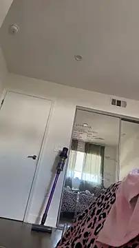 allpawgsgotoheaven webcam