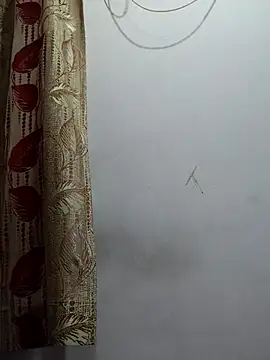lucid6699 webcam
