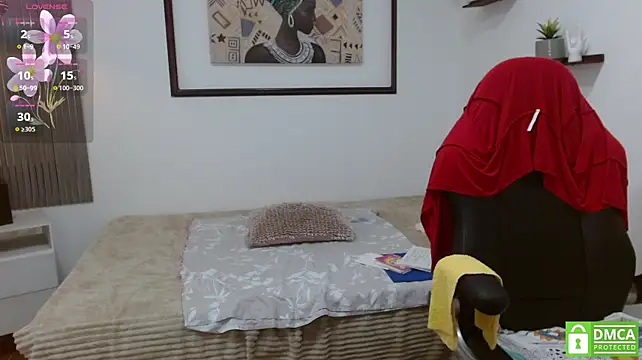 sila_bolum webcam