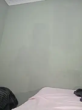 wahh45 webcam