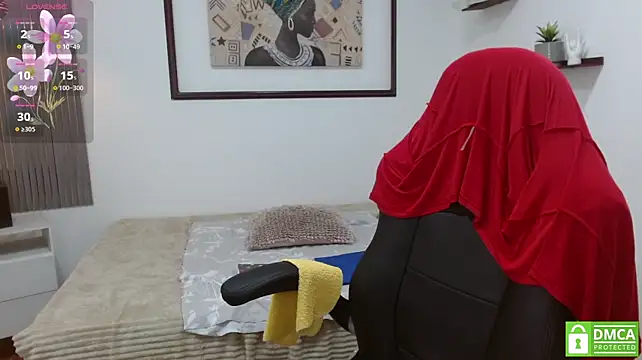 sila_bolum webcam