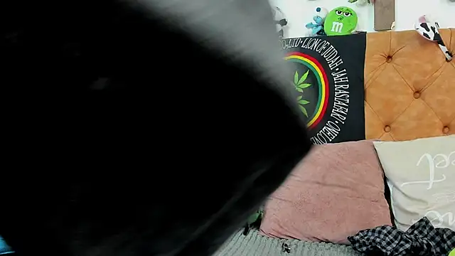 MeowMota_ webcam