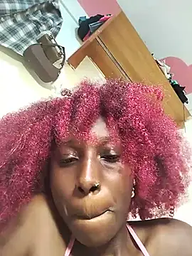 Aria_ah webcam