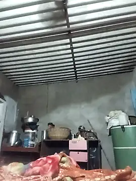Hocayaraj357 webcam