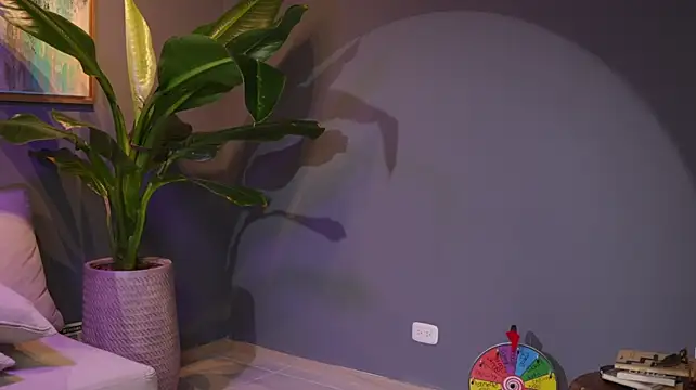 Danna-Saenz webcam