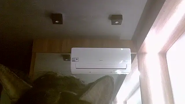 SkinnyKitten webcam